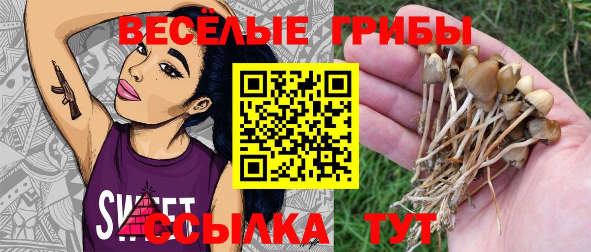 Галлюциногенные грибы MAGIC MUSHROOMS Лысьва