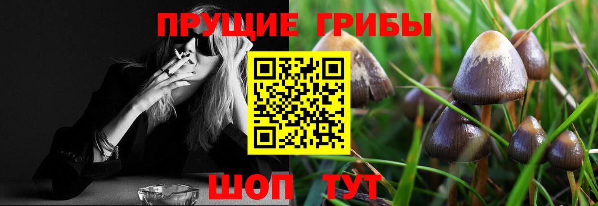 Лысьва  Псилоцибиновые грибы мухоморы  Вход с VPN 